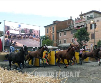 PALIO7