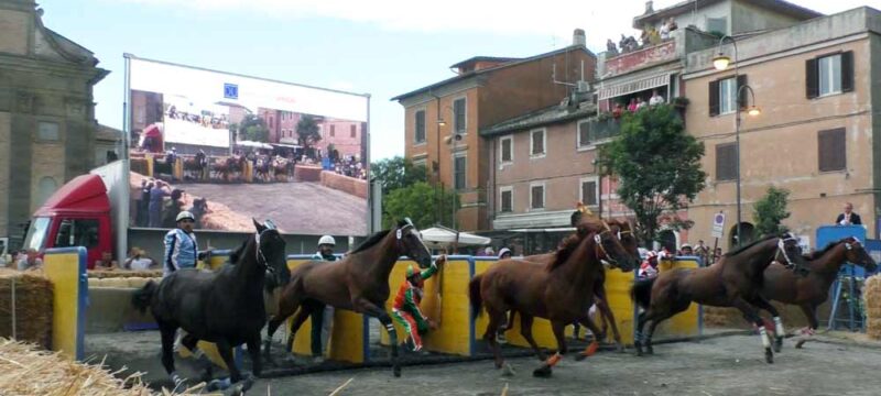 PALIO7
