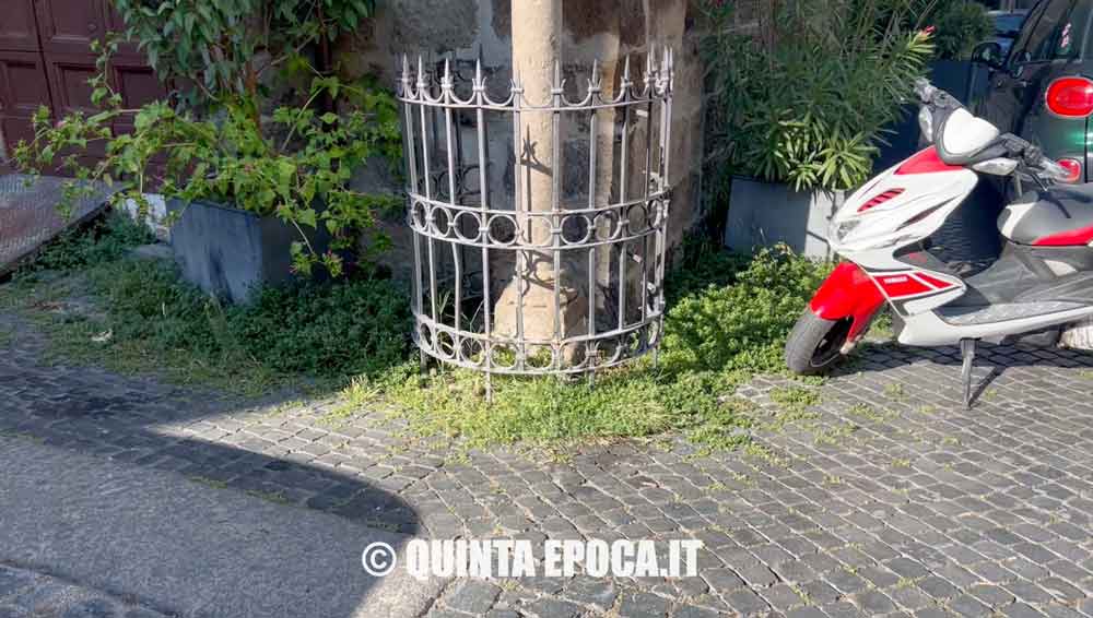 Pulpito San Tommaso D'Aquino infestato dalle erbacce.