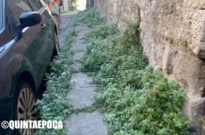 SANTA-MARIA-NUOVA