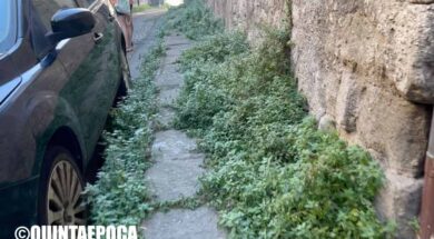 SANTA-MARIA-NUOVA