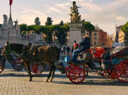 botticelle-cavallo-carrozza