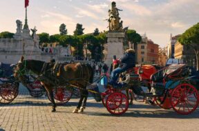 botticelle-cavallo-carrozza