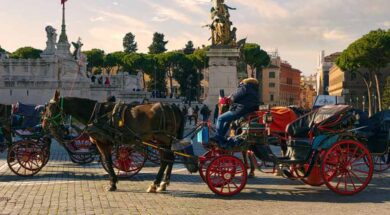 botticelle-cavallo-carrozza