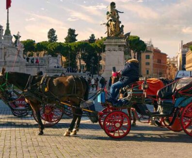 botticelle-cavallo-carrozza
