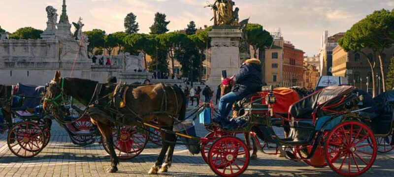 botticelle-cavallo-carrozza