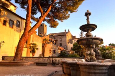 fontana-priori-comune-muvi-museo
