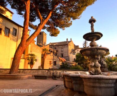 fontana-priori-comune-muvi-museo