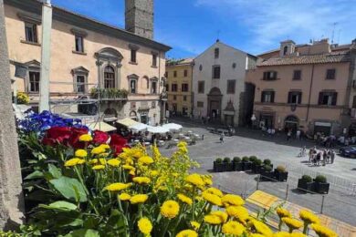 TORRE-SANTA-ROSA-FIORI