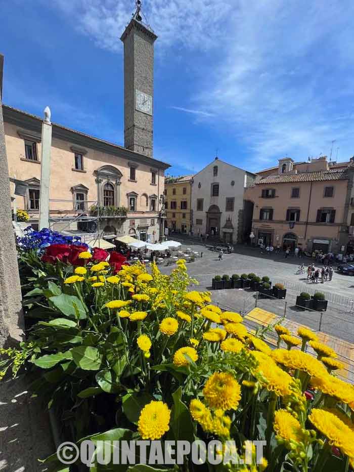 Santa Rosa, il Comune chiama David Pinto per influencer marketing rivolto a giovani e turisti
