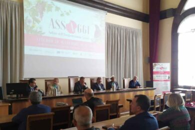assaggi-camera-commercio