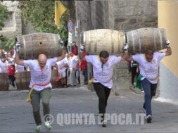 palio-botti2
