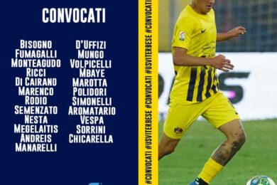 viterbese-avellino
