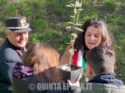 alberi-vanni-frontini-mareschi