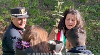 alberi-vanni-frontini-mareschi