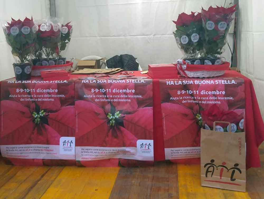 Ail Viterbo, vendute 7mila stelle di Natale.