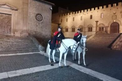 carabinieri-cavallo