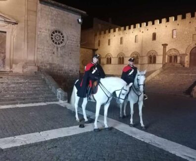 carabinieri-cavallo