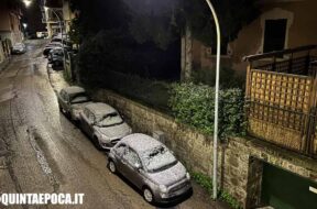 NEVE-VITERBO