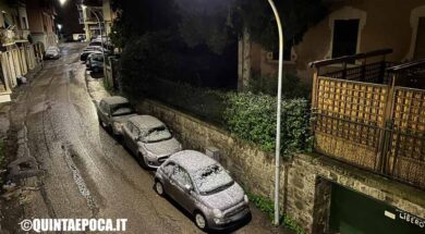 NEVE-VITERBO