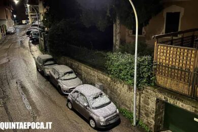 NEVE-VITERBO