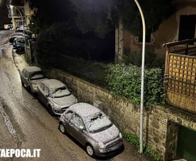 NEVE-VITERBO