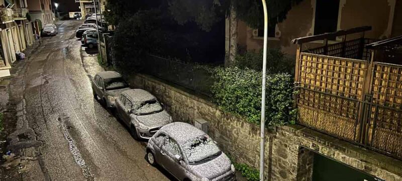 NEVE-VITERBO