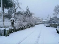 neve-san-martino