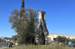 SINFONIA-ARCHI-MACCHINA-ROSA-ROTATORIA-POGGINO