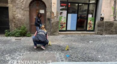 scientifica-donna-pavone