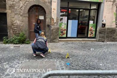 scientifica-donna-pavone