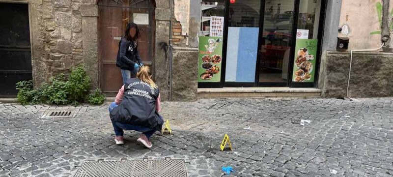 scientifica-donna-pavone