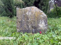 ERBA-ALTA-FOIBE-CELESTINI
