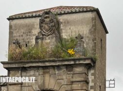 porta-faul-erba-alta