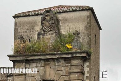 porta-faul-erba-alta