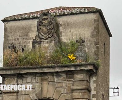 porta-faul-erba-alta