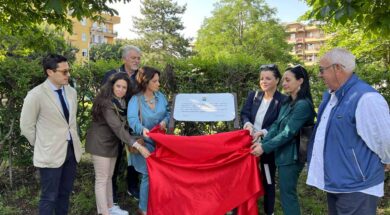 targa-marocchinate-micci-sberna-allegrini-frontini-scardozzi-olmi