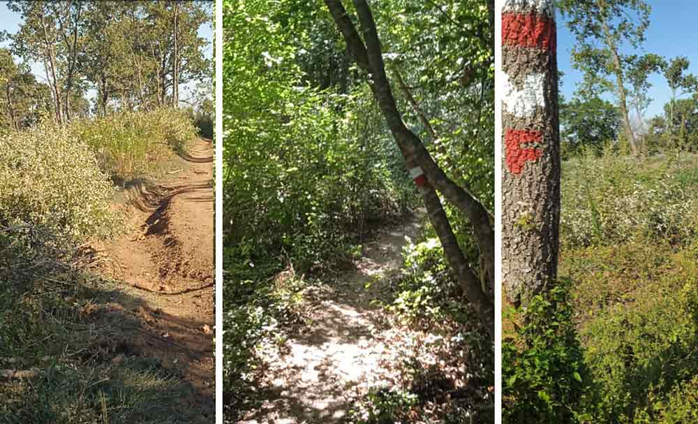 Via Francigena: riaperto tratto Viterbo/Vetralla tramite San Martino.