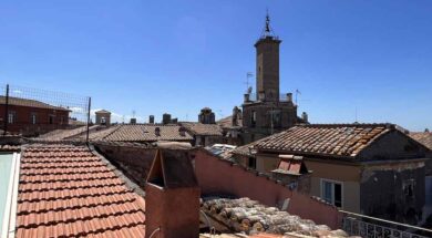 viterbo-tetti-gatti-erbe-centro-storico
