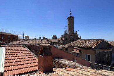 viterbo-tetti-gatti-erbe-centro-storico