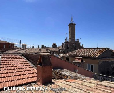 viterbo-tetti-gatti-erbe-centro-storico