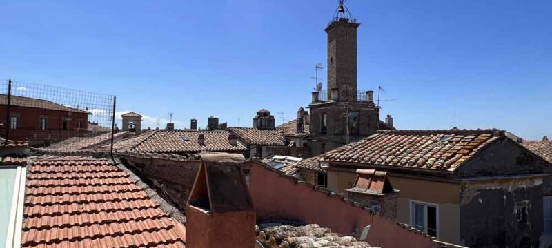 viterbo-tetti-gatti-erbe-centro-storico