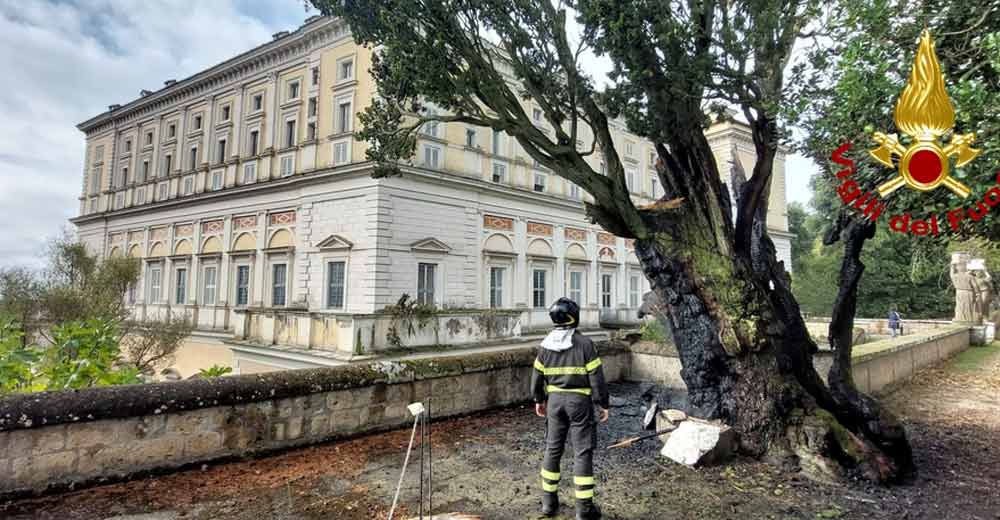 Caprarola, fulmine colpisce un albero nel complesso di Palazzo Farnese.