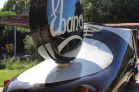 scarpa-auto-ebano