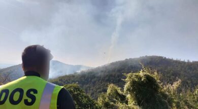 incendio-vigili-del-fuoco-canepina
