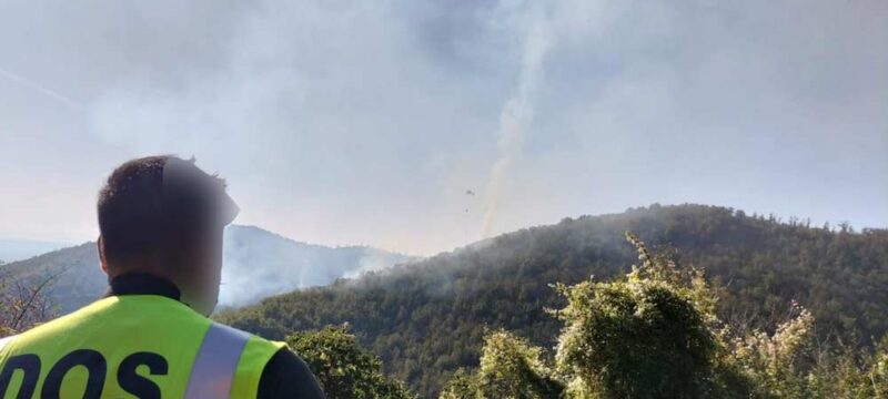 incendio-vigili-del-fuoco-canepina