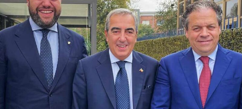 romoli-gasparri-nicolai