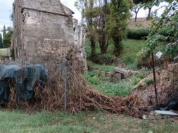 valle-faul-degrado