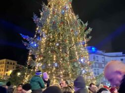 albero-natale