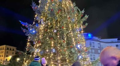 albero-natale